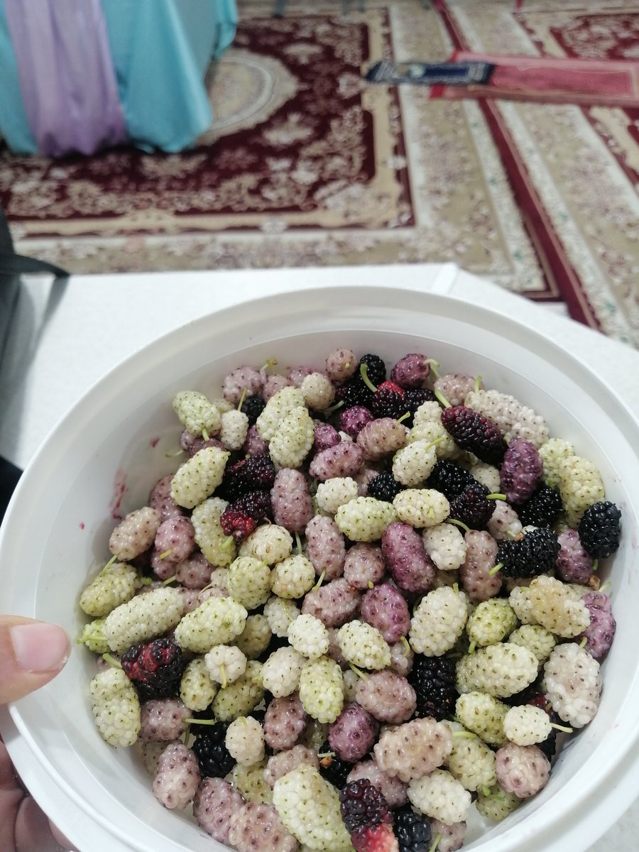 خوبی غربت به اینه که تو اوج کلافگی رفیقت بیاد تا دلت شاد شه