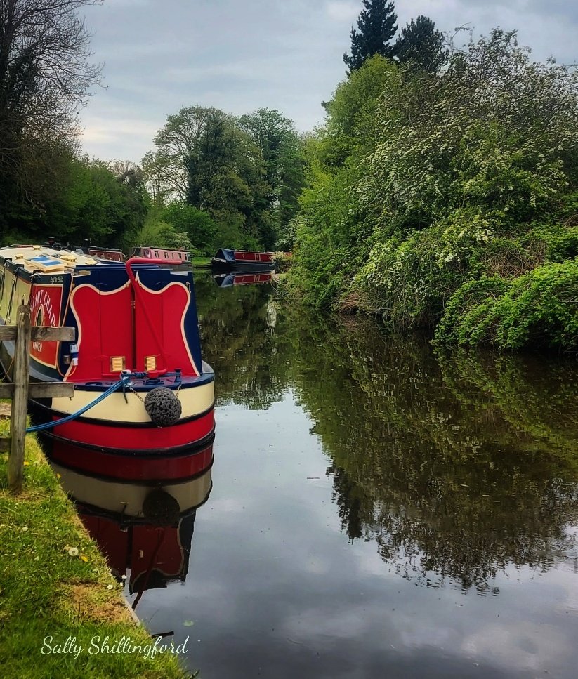 Along the staffs and Worcestershire canal ❤📷
@CanalRiverTrust