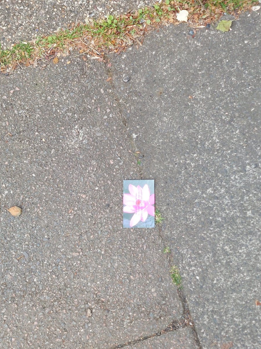 JQ 🦢 (@hiimjq) on Twitter photo 