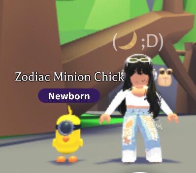 ☆⋆⁺₊ Sponsored Adopt Me Giveaway ₊⁺⋆☆

One winner will receive a Minion Chick

Rules:
☆ Must be following me and @ax789083890 
☆ Like and rt
☆ Comment a chicken gif or emoji 

Ends in two weeks. Good luck ^^

#adoptmegws #adoptmegiveaways 
#adoptmegw #adoptmegiveaway