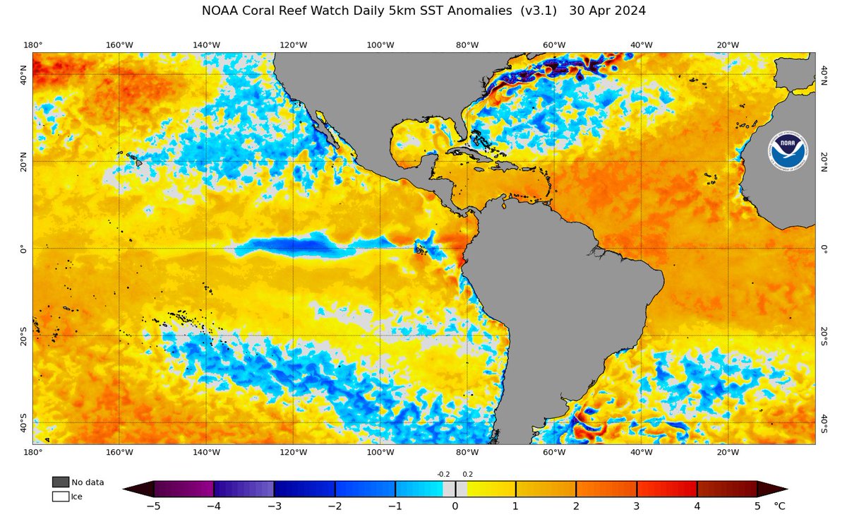 Mark Sudduth tweet media