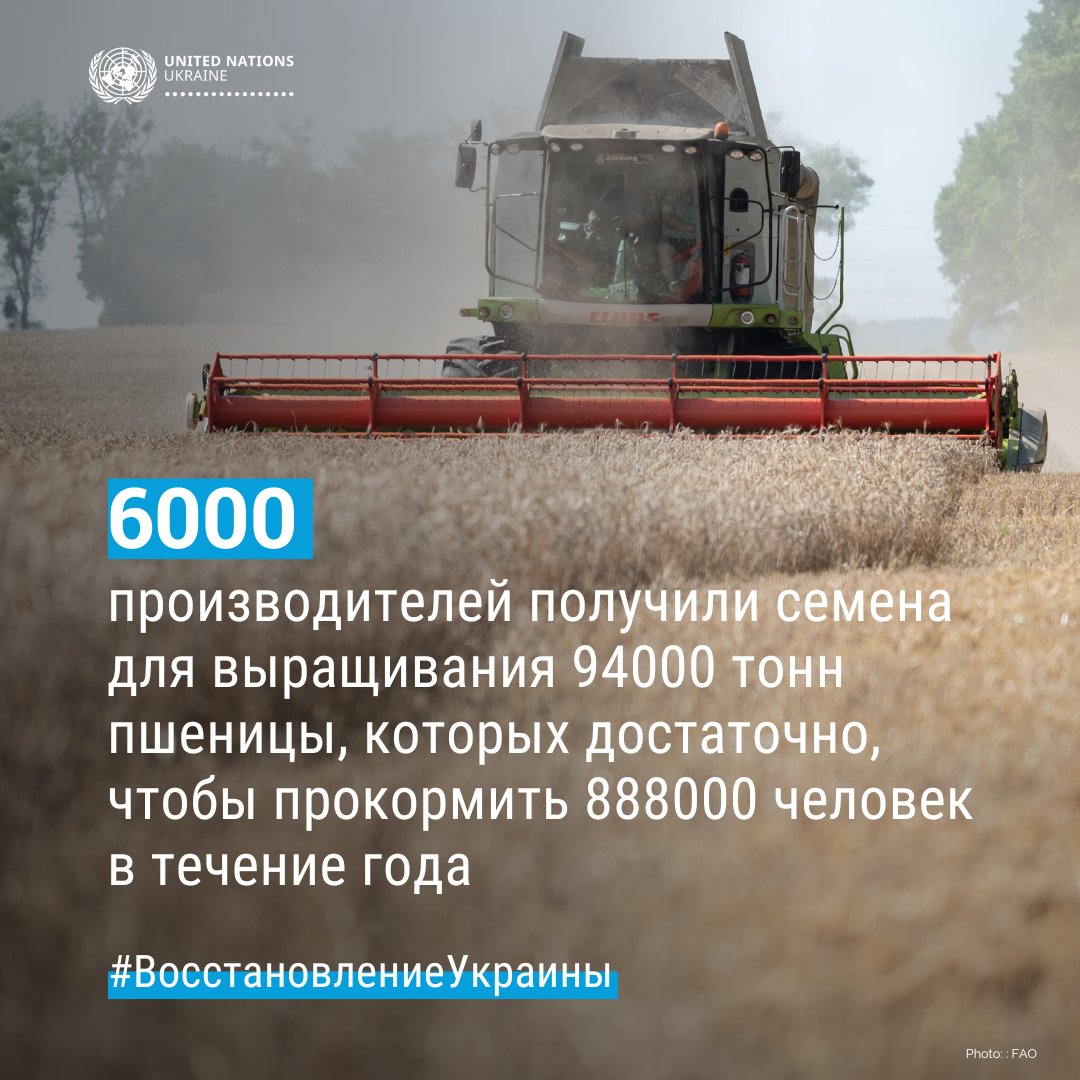 Украина: Полномасштабное вторжение РФ нанесло огромный ущерб сельскому хозяйству страны, что затронуло не только фермеров, но и беднейшее население мира, которое полагается на украинское зерно. @UN_Ukraine оказывает поддержку в восстановлении сектора: ukraine.un.org/en/265953-annu…