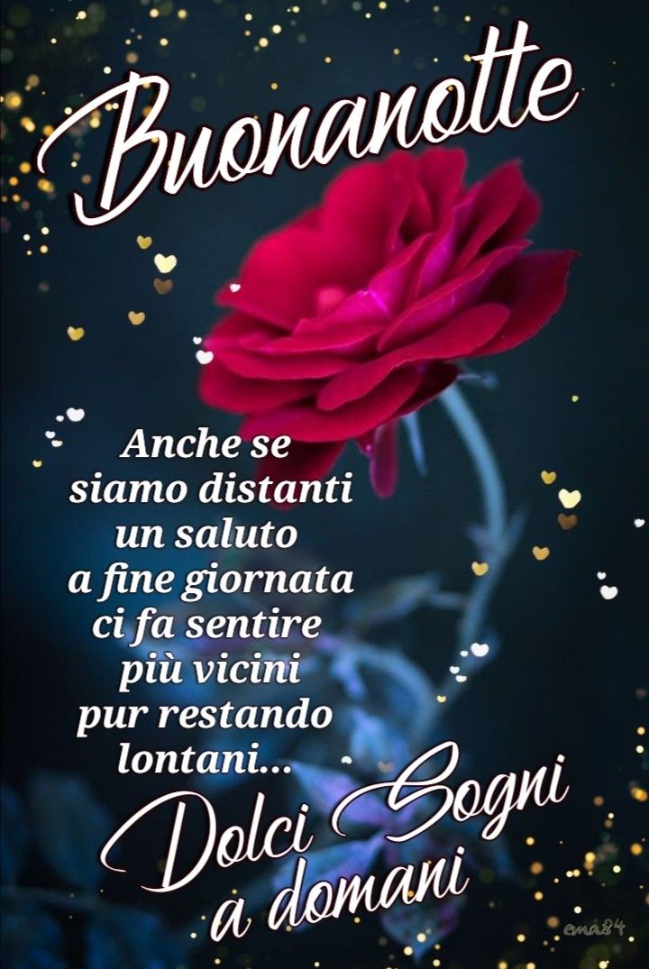 #buonanotte #TwitterWorld sogni belli e felici a tutti 🥰 😘 🌎 🌍 🌏 🌟 💫 ✨ 🌠