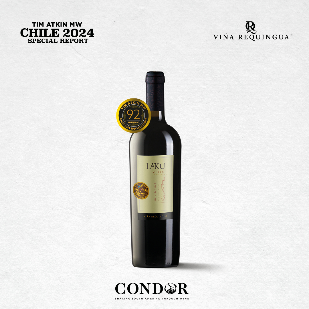 Fantastic results for latest vintages in the 2024 Chile Report from @timatkin 🥇

Congrats to @VinaRequingua, @VinaFLurton, @VolcanesWine and @PuyoAcevedo 👏

#sharingsouthamerica #southamericanwines #condorwines #importer #wine #winelover #vino #winetasting #winesofchile