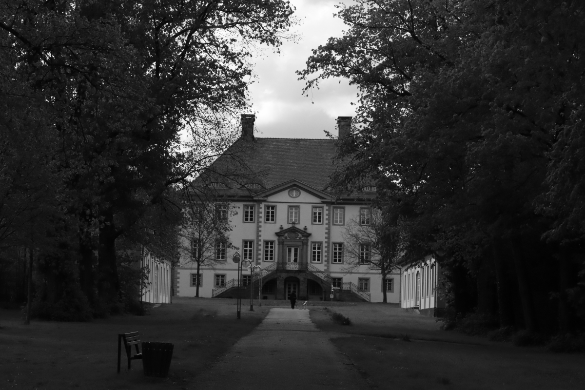 #photo #photography #blackandwhite #trees #park #path #landscape #castle #landscapephotography #Fotografie #blackandwhitephotography #monochrome