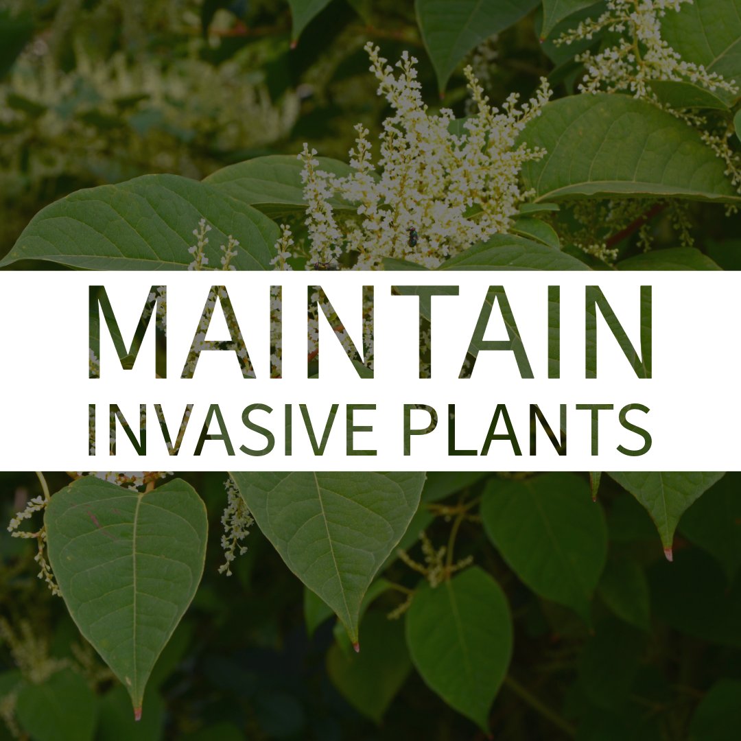 Happy #May folks! Check out some of our #spring  #gardening #tips for this month. 🌼 ☀️➡️    
unh.me/41V8dsF