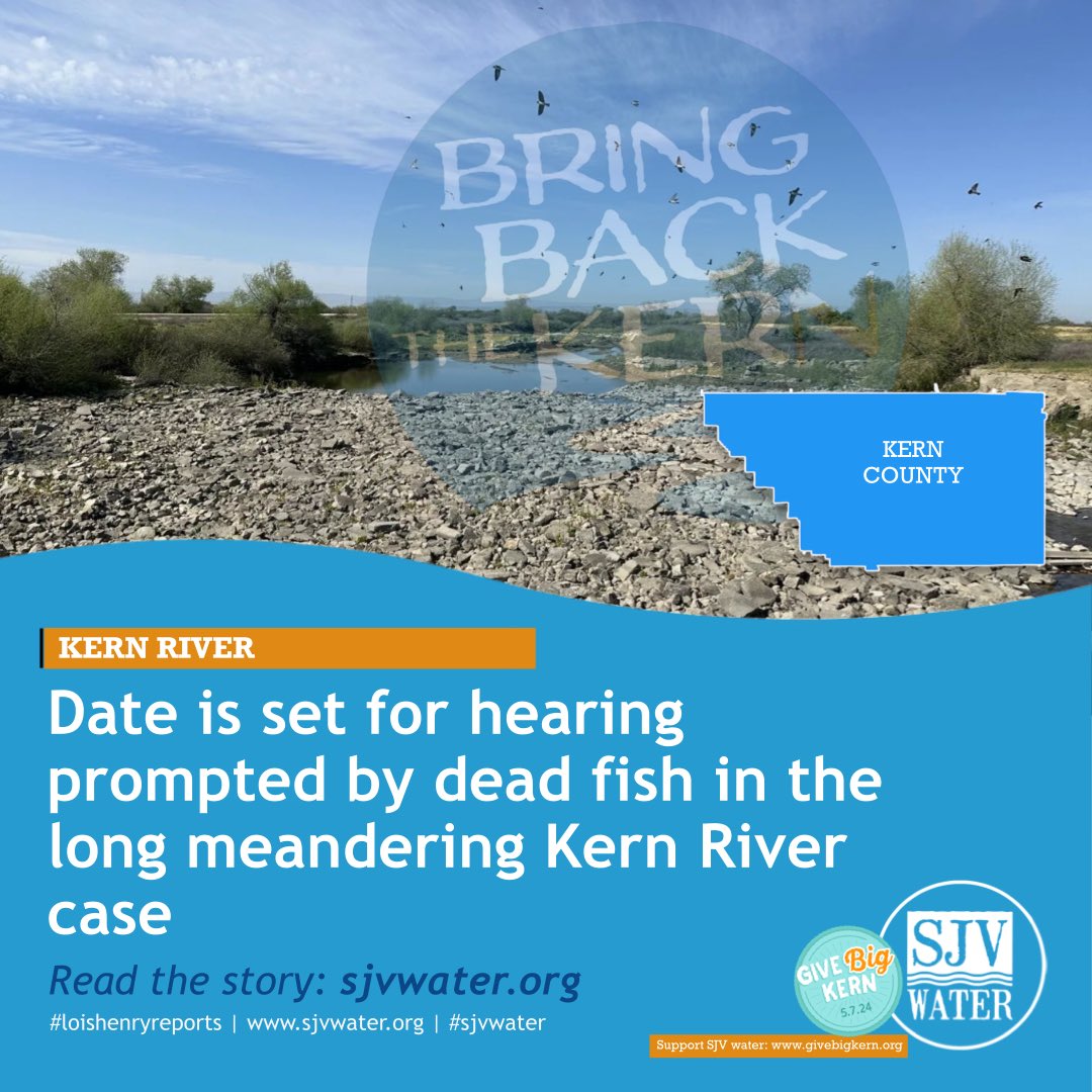 @loishenry reports: sjvwater.org
#kernriver #bringbackthekern #loishenryreports #sjvwater