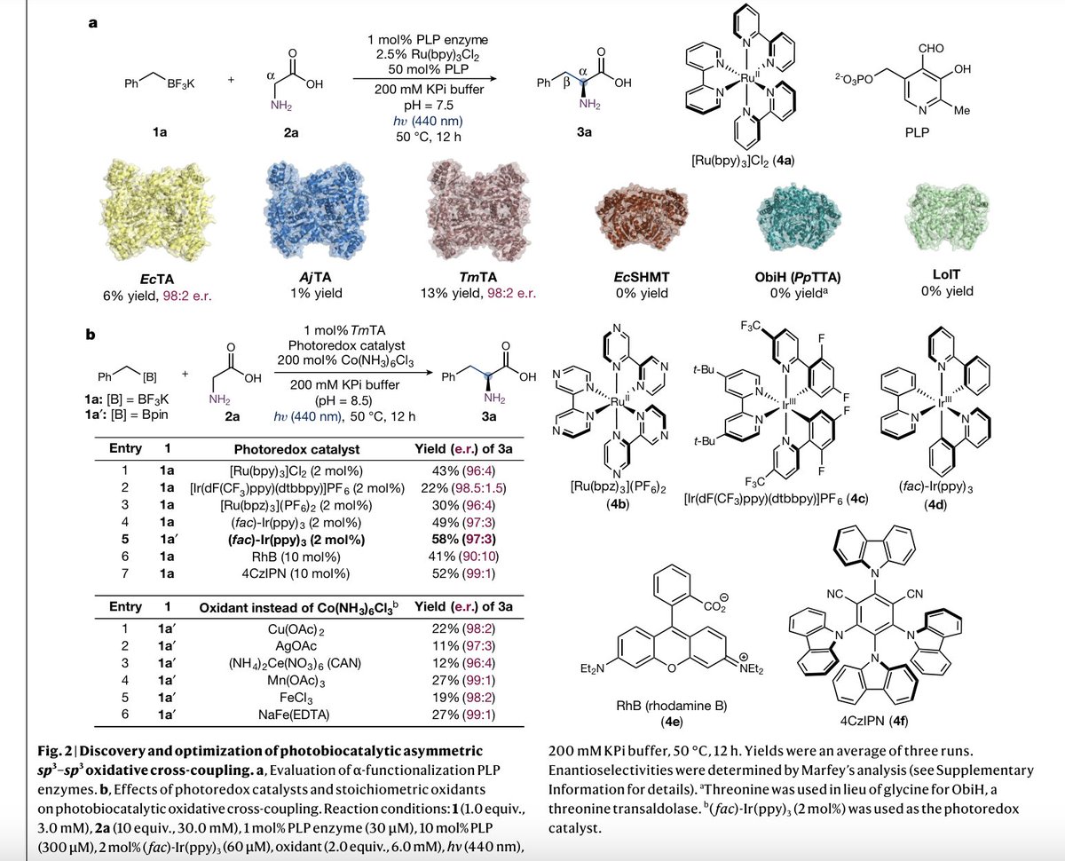 EnzymeChemistry tweet picture