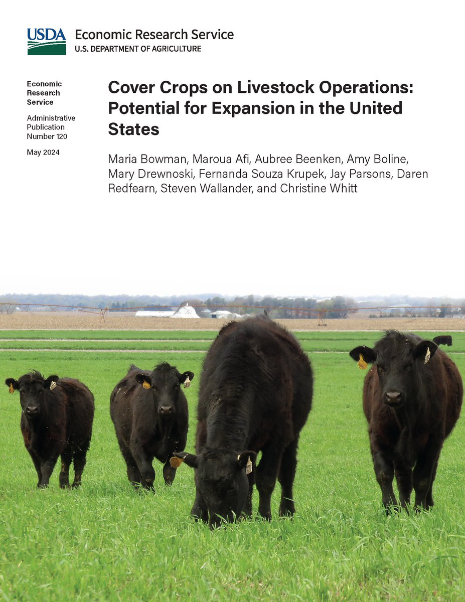 Cattle operations with cover crops often use them for forage. In 2021, 72% of dairy operations and 89% of cow-calf operations with cover crops reported harvesting or grazing at least some cover crop acreage. Learn more: ers.usda.gov/publications/p….