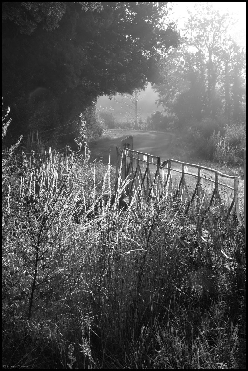 Sarthe On fait le pont ! #Champrond #Sarthe #laSarthe #sarthetourisme #labellesarthe #labelsarthe #Maine #paysdelaloire #paysage #nature #campagne #rural #ruralité #gondard #route #road #OnTheRoadAgain #graphique #pont #noiretblanc #BandW #blackandwhite