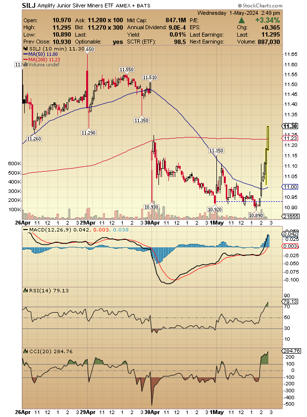 Silver Miners $SILJ