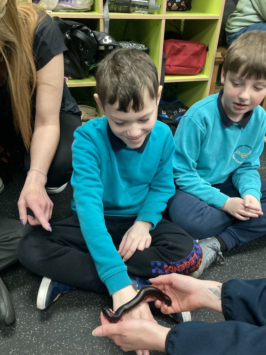 Dosbarth_7 (@ovpsmrshobbs) on Twitter photo 