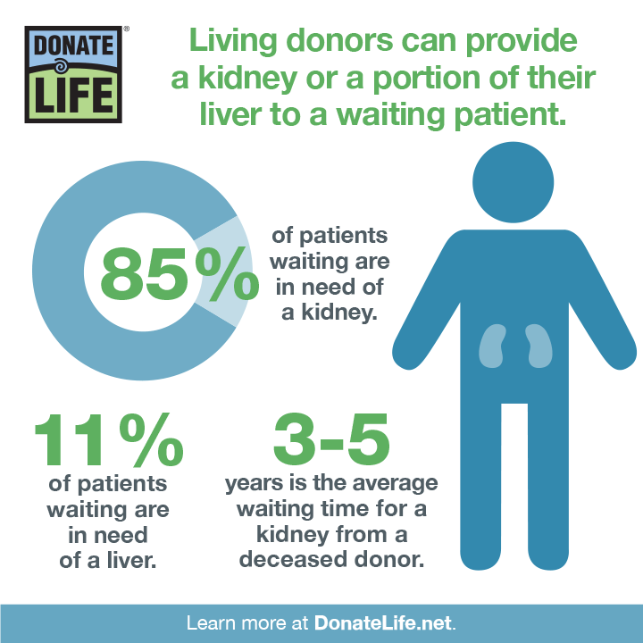 Did you know that living organ donors can provide a kidney or a portion of their liver to help save a patient on the national transplant waiting list? Learn more about living donation at bit.ly/3O2q23K #DonateLife #LivingDonor 💙💚