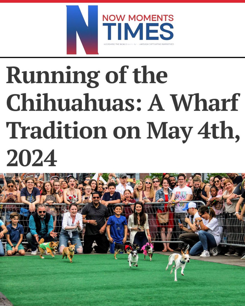 Running of the Chihuahuas: A Wharf @TheWharfDC Tradition on May 4th, 2024

The Wharf in Washington, DC, welcomes you to the 12th Annual Running of the Chihuahuas, a cherished tradition and a highlight of spring in the capital. 

To read the full article visit @NowMomentsTimes