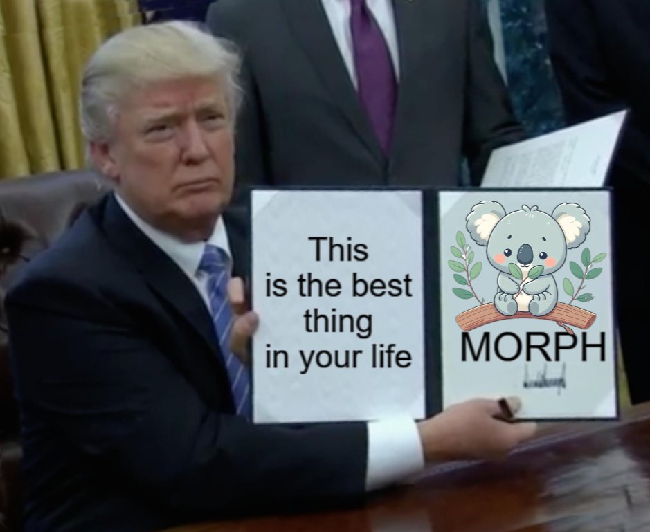 @MorphL2 

#Memes #MyMorphArt