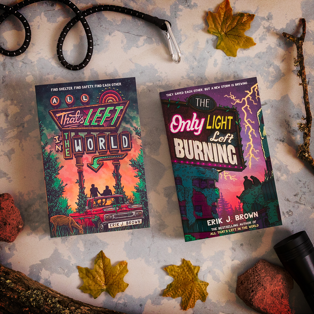 The electrifying sequel you've been waiting for... Can you believe that there is LESS than one month until THE ONLY LIGHT LEFT BURNING hits bookshelves? Sounds like the perfect opportunity to read All That's Left in the World in preparation #TheOnlyLightLeftBurning @WriterikJB