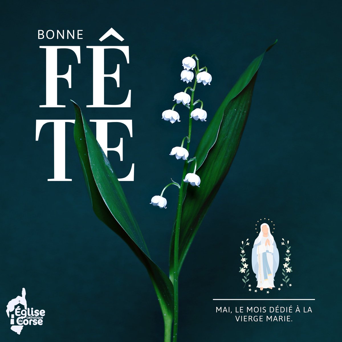 Bonne fête en ce mois de mai dédié à la Vierge Marie ! 🕊️ — #dioceseajaccio #eglisecatholiquedecorse #mai #moisdemarie #muguet #eglise #catholique #corsica