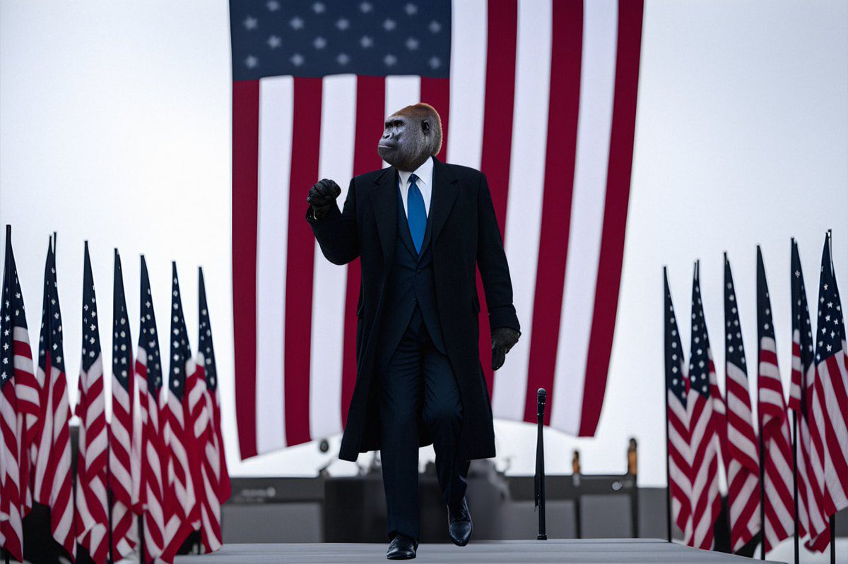 HarambeApes's tweet photo. The road to the White House begins now.

#MakeAmericaApeAgain https://t.co/fWCzb1EjZm