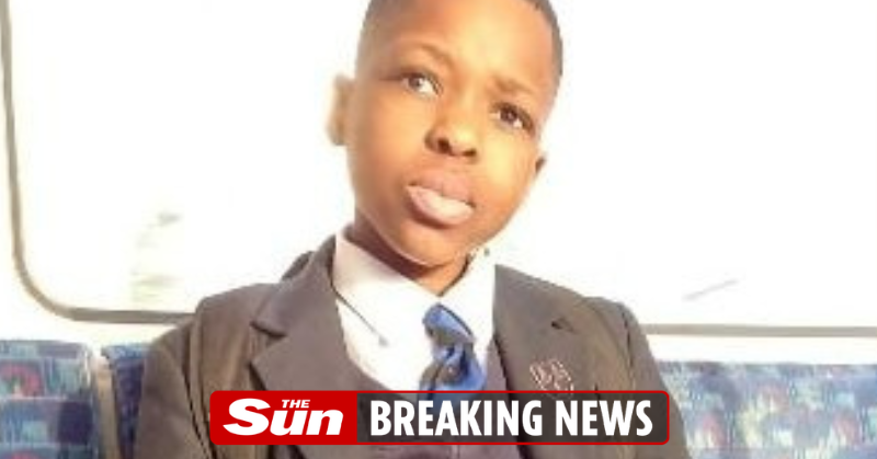 Teen 'murdered by sword-wielding man' in rampage named and pictured for the first time  thesun.co.uk/news/27648703/…