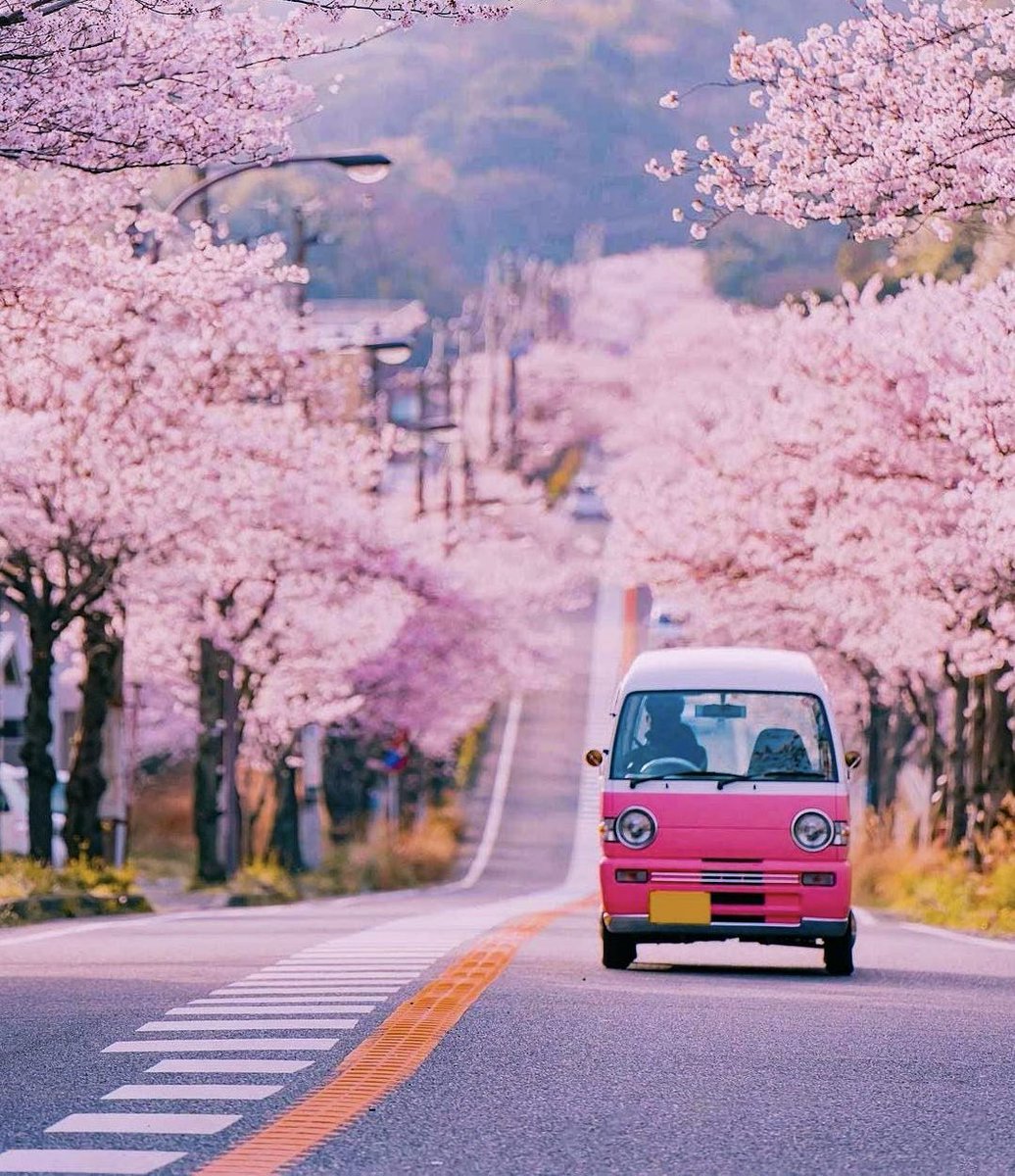 Beautiful Road 

(📸 Pinterest)