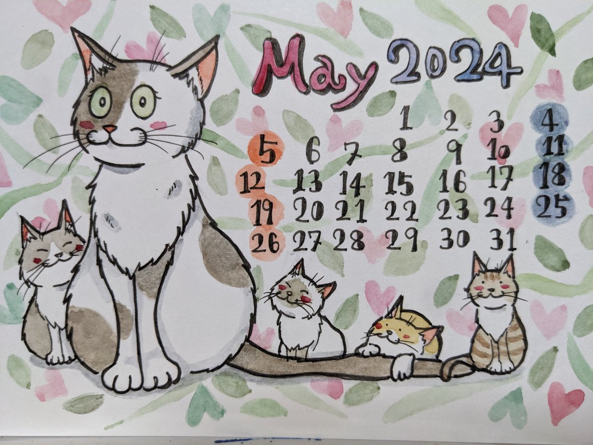 Welcome May!🌹 #pasericat