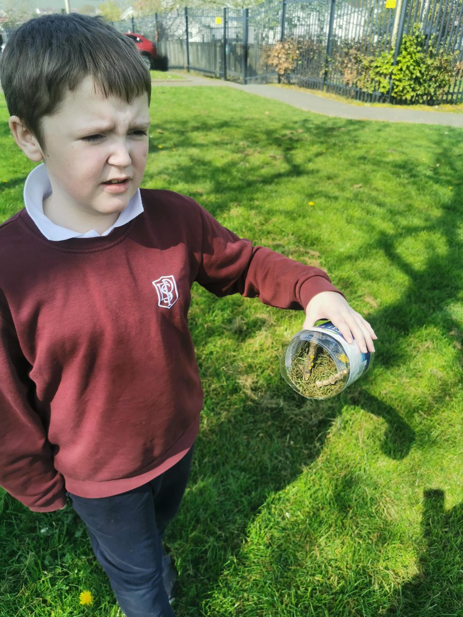 Primary 4 have enjoyed the weather today making Bug Hotels during their Outdoor Learning! 🐜🐞🕷️We can't wait to meet our new guests. 🪲🐝 #everyonetogetherateastertoun #bugslife #sdg15
