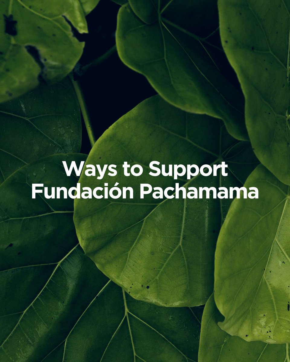 Join a global community committed to building a future respectful of life. Your support is crucial to sustaining @FPachamama_Ec's programs and ensuring a habitable planet for generations to come. Learn more: hubs.li/Q02vF2tS0 🌿