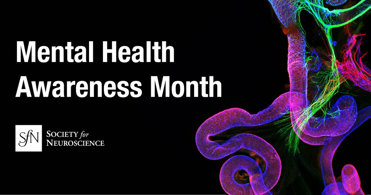 May is #MentalHealthAwarenessMonth 🧠!  

This month, SfN celebrates how neuroscience research is transforming the field’s understanding of mental health conditions, leading to better treatments and stronger support. 

#MentalHealthMonth #NeuroTwitter #SciTwitter