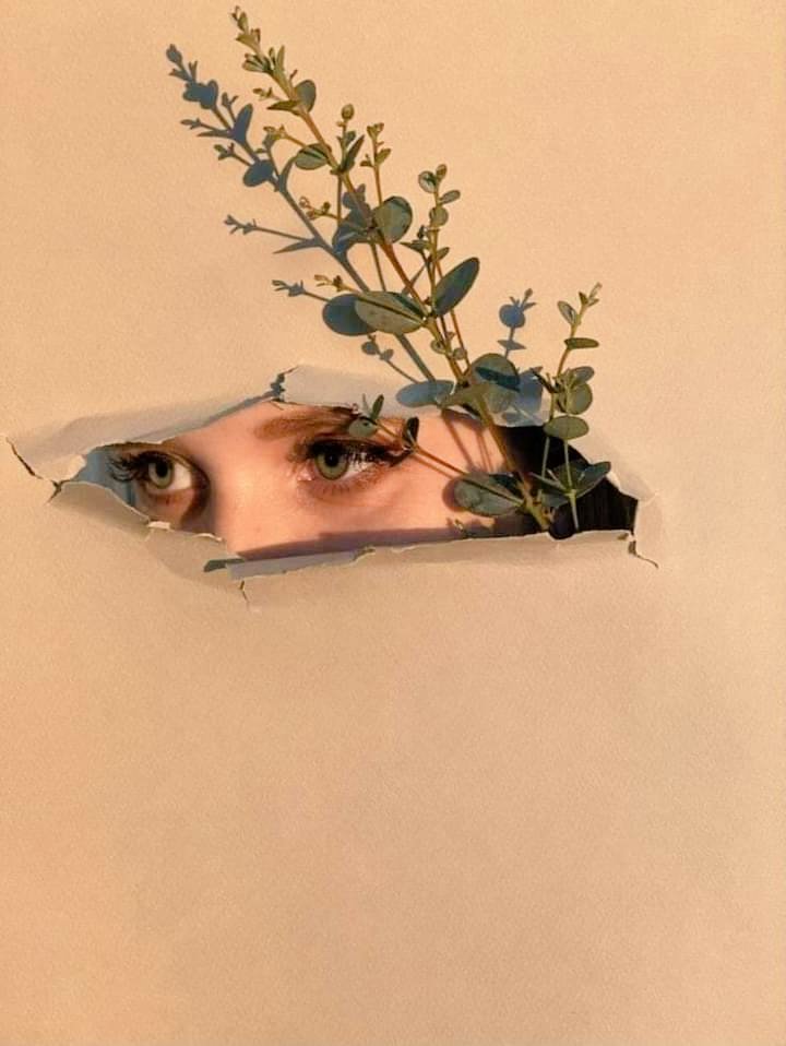 سيدࢪة🍂 tweet media
