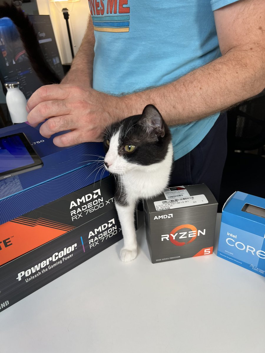 Waffles is helping us set up to shoot today! What sort of content are you most interested in seeing as we wait for new GPU and CPU launch announcements? 
#pcbuild #pcbuilder #pcgaming