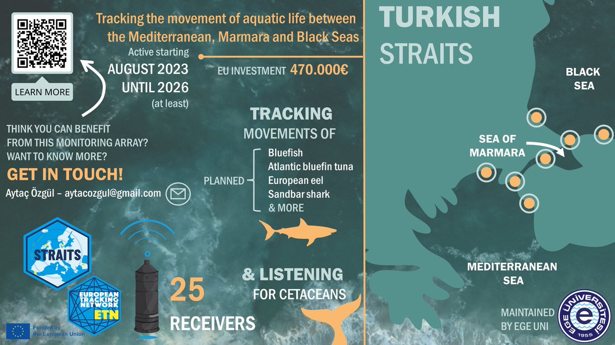 Continuing with updates on our #STRAITSproject, the Turkish Straits went live in August! The array is listening - for the first time! - for fish moving between the Black Sea and the Mediterranean Sea 🐟🦈 a few bluefish have so far been detected 🤩

#trackingnotslacking