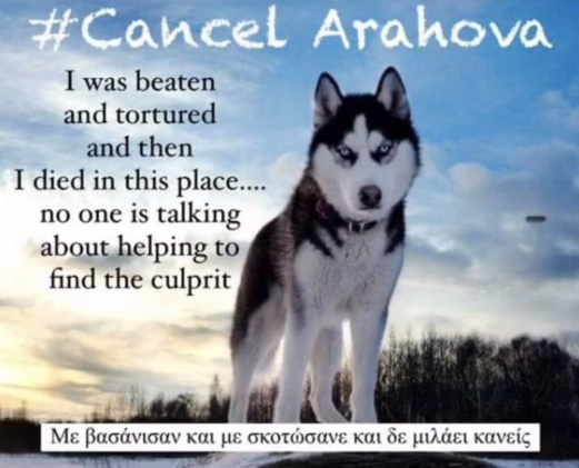 #CancelArachova #Oliver #ARACHOVA #ΑΡΑΧΩΒΑ #Ολιβερ #JusticeForOliver #Greece #AnimalCruelty