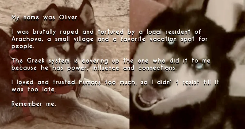 #CancelArachova #Oliver #ARACHOVA #ΑΡΑΧΩΒΑ #Ολιβερ #JusticeForOliver #Greece #AnimalCruelty