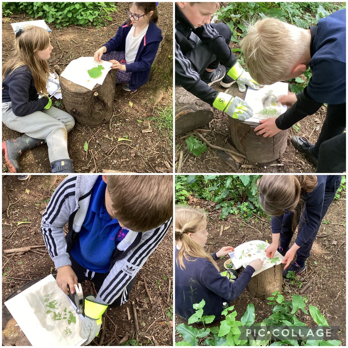 OWPS_forestschool (@owps_forest) on Twitter photo We have had such a fun day in the woods with a forest school day, whilst the rest of year 4 are on their residential. We have explored, learnt the forest rules, made animal dens and Hama Zome pictures with leaves and petals. #owpsforestschool <a href="/OWPSnightingale/">OWPSnightingales</a> <a href="/OWPS_nighthawks/">OWPS_nighthawks</a> We have had such a fun day in the woods with a forest school day, whilst the rest of year 4 are on their residential. We have explored, learnt the forest rules, made animal dens and Hama Zome pictures with leaves and petals. #owpsforestschool <a href="/OWPSnightingale/">OWPSnightingales</a> <a href="/OWPS_nighthawks/">OWPS_nighthawks</a>