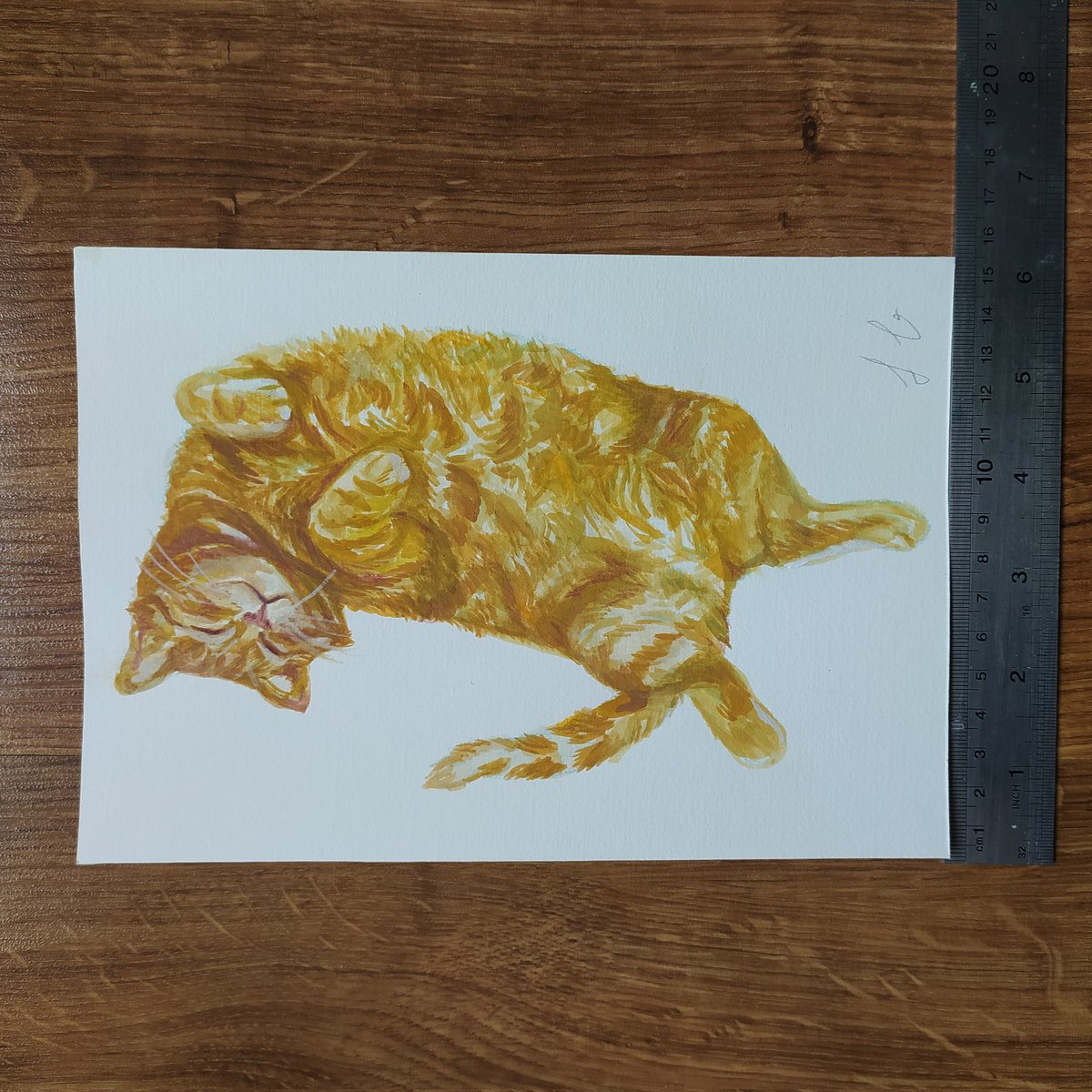 Original Watercolor Orange Cat painting on 21×15cm Thick Paper. It's not a print, it's a unique art piece.Ready for shipping.Signed by Artist. World wide Free Shipping
damdampaints.etsy.com/listing/170864…

#etsyseller 
#cottagecore 
#cottageaesthetic 
#catsofinstagram 
#catlover 
#watercolor