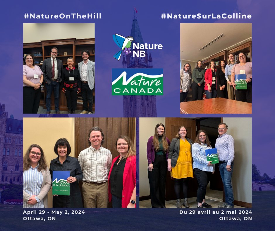 This week, nature NGO leaders from across Canada have been in Ottawa for #NatureOnTheHill, an annual summit organized by @NatureCanada. This week of meetings and advocacy helps shed light on the environmental issues that our country is facing. (1/3)