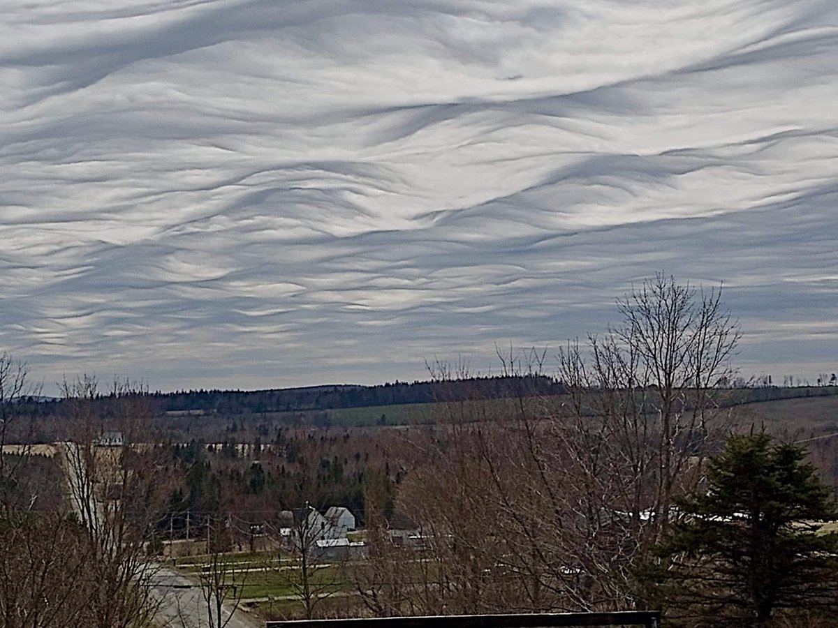You are a nephophile if you get excited when you see clouds like these. Learn more about them in today's blog: cindyday.ca #coolclouds #clouds #science