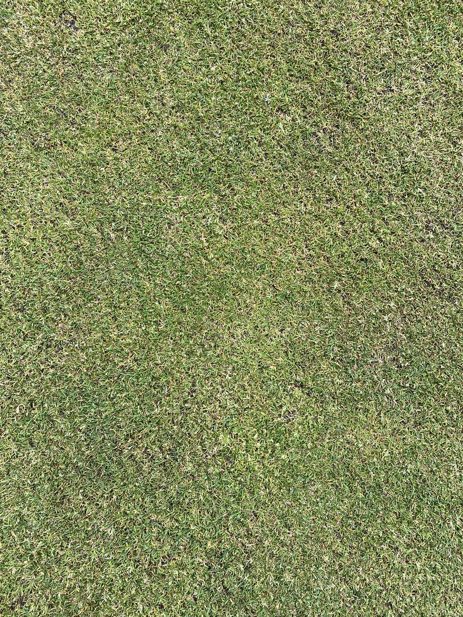 Michael Russell tweet media