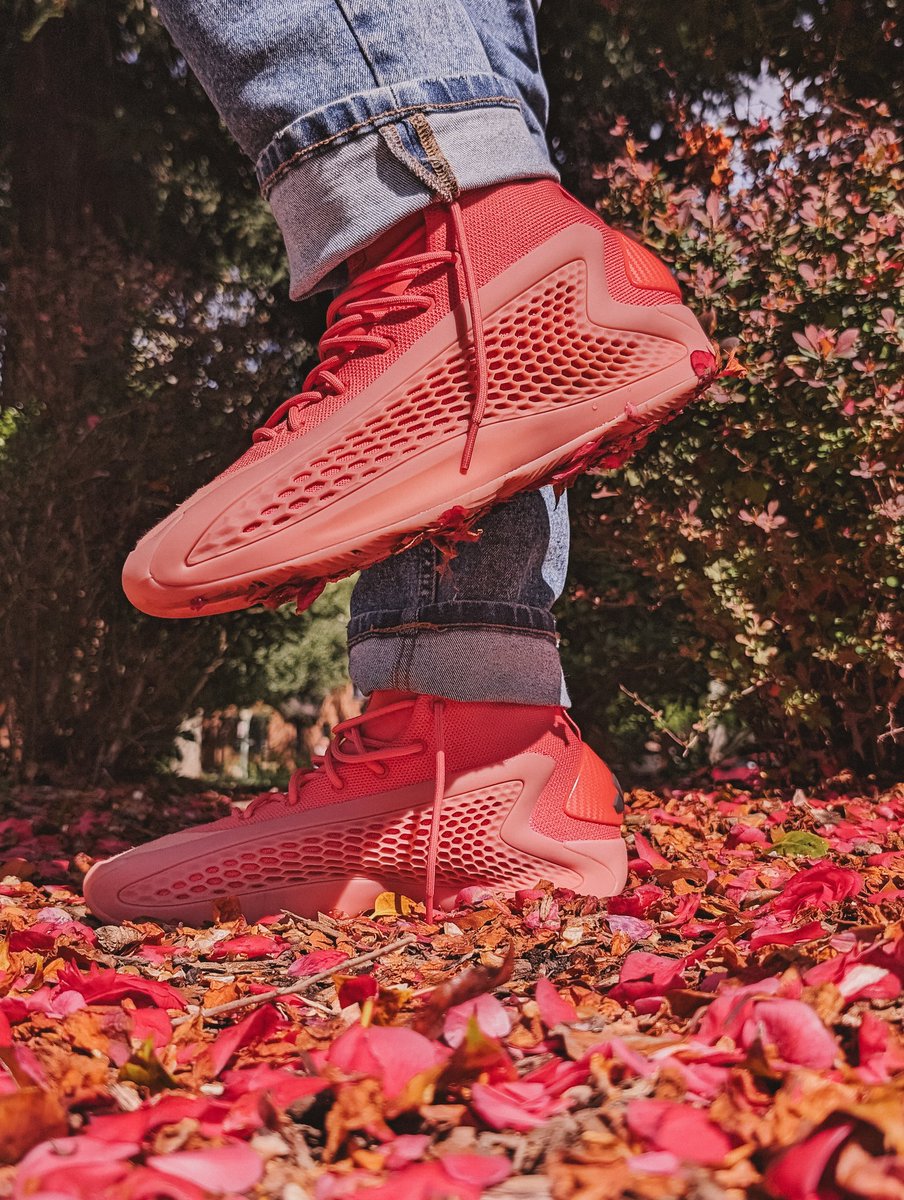 The Creation Day 3: And then... 'Land, Plants And Trees were created' #BelieveThat #yoursneakersaredope #photooftheday #KOTD @adidasHoops