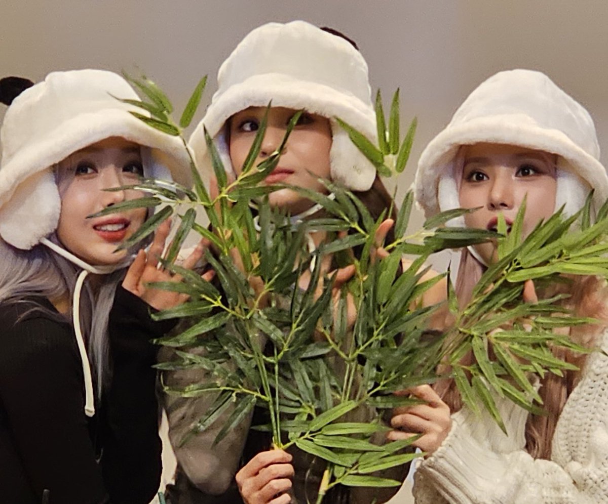 VIVIZ Upcoming Schedules 🗓 (May 2024)

•May 3 - 11th Buan Masil Festival
•May 7 - Hansei Univ. PLAY:RUM Festival
•May 8 - 25th Solution Festival in Busan 
•May 18 - Spring Breeze in Campus, Kyunghee Univ.

🌱🍀