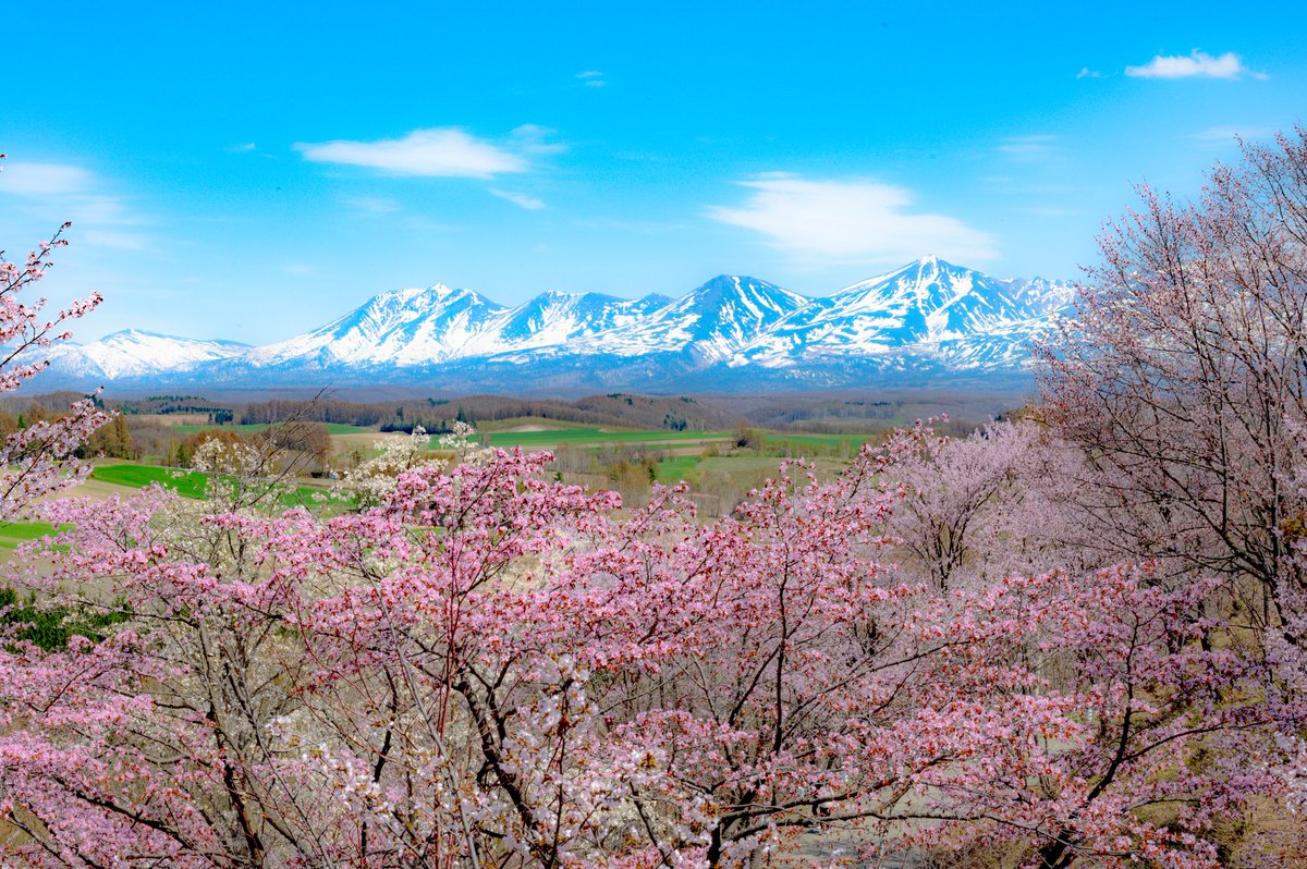 美山峠の山桜。

2024/4/29
北海道・上富良野町にて   
#photographylovers #coregraphy #キリトリセカイ #東京カメラ部 #tokyocameraclub #NationalGeographic #今月の風景写真館