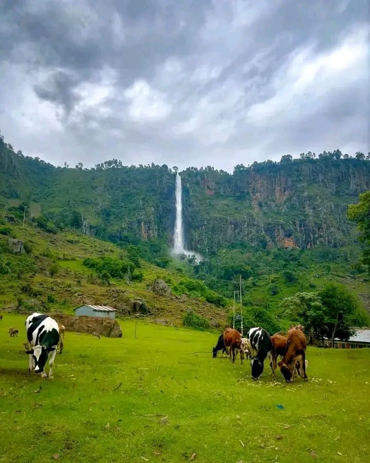 📍Torok Falls in Toror Keiyo South Constituency: a sight to behold.