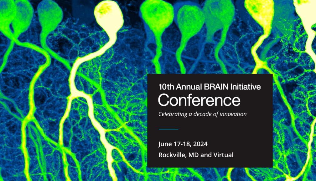 The 10th Annual BRAIN Initiative Conference!!!
Register for this hybrid event by  May 31, 2024. 
Visit the event website for more information:brainmeeting.swoogo.com/2024/home 
Register today! #studyBRAIN
@USBrainAlliance @IBROorg @SONAorg  @NSNSecretariat @TheBaleLab @AmadiIhunwo