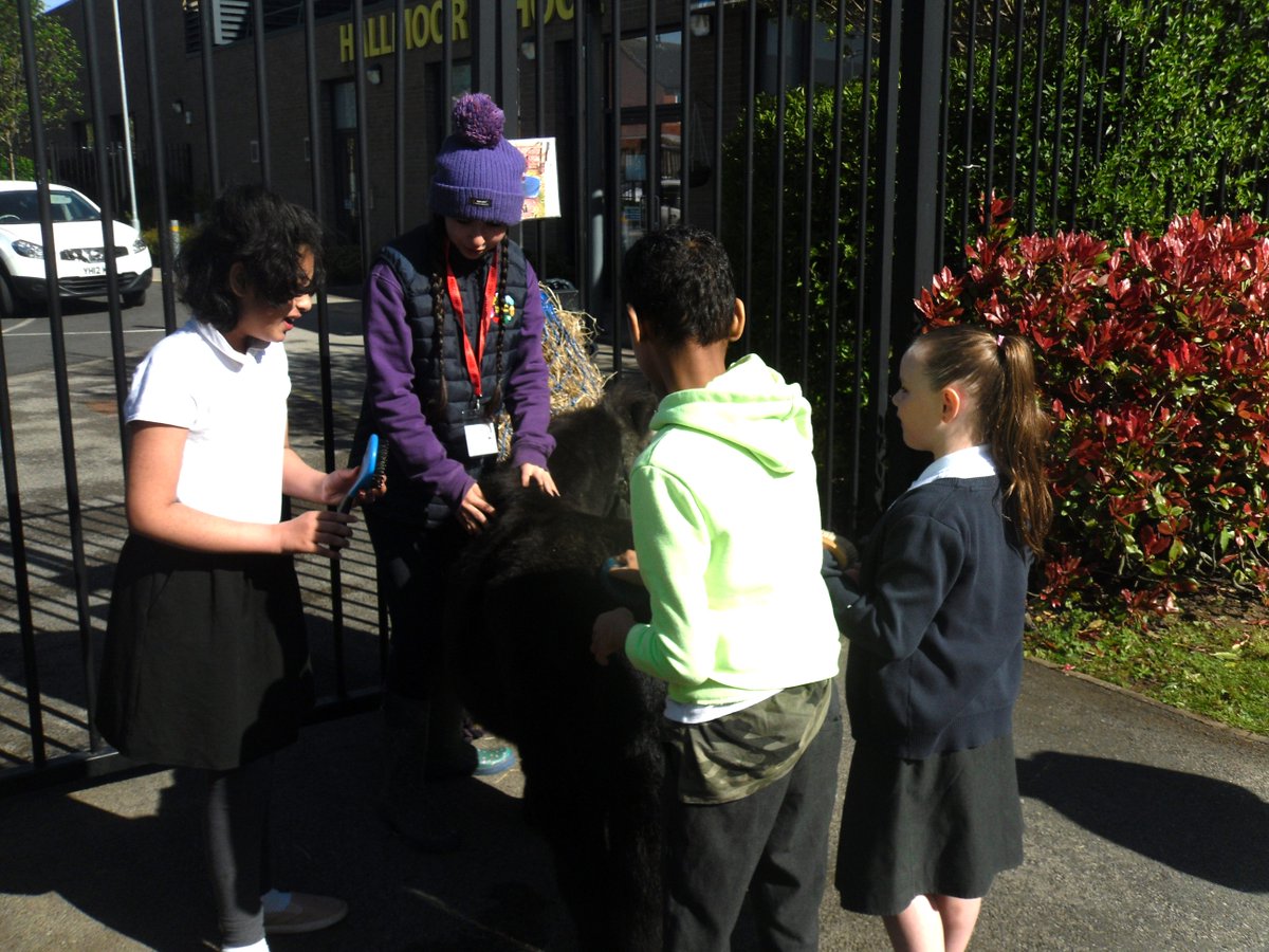 Several of our young people have been caring for ponies at Summerfield Stables and this month the ponies paid us a visit! 🐴
Thank you Let’s Enable for supporting our pupils.
Learn more in our newsletter: ayr.app/l/qLEr
#schoolNews #newsletter