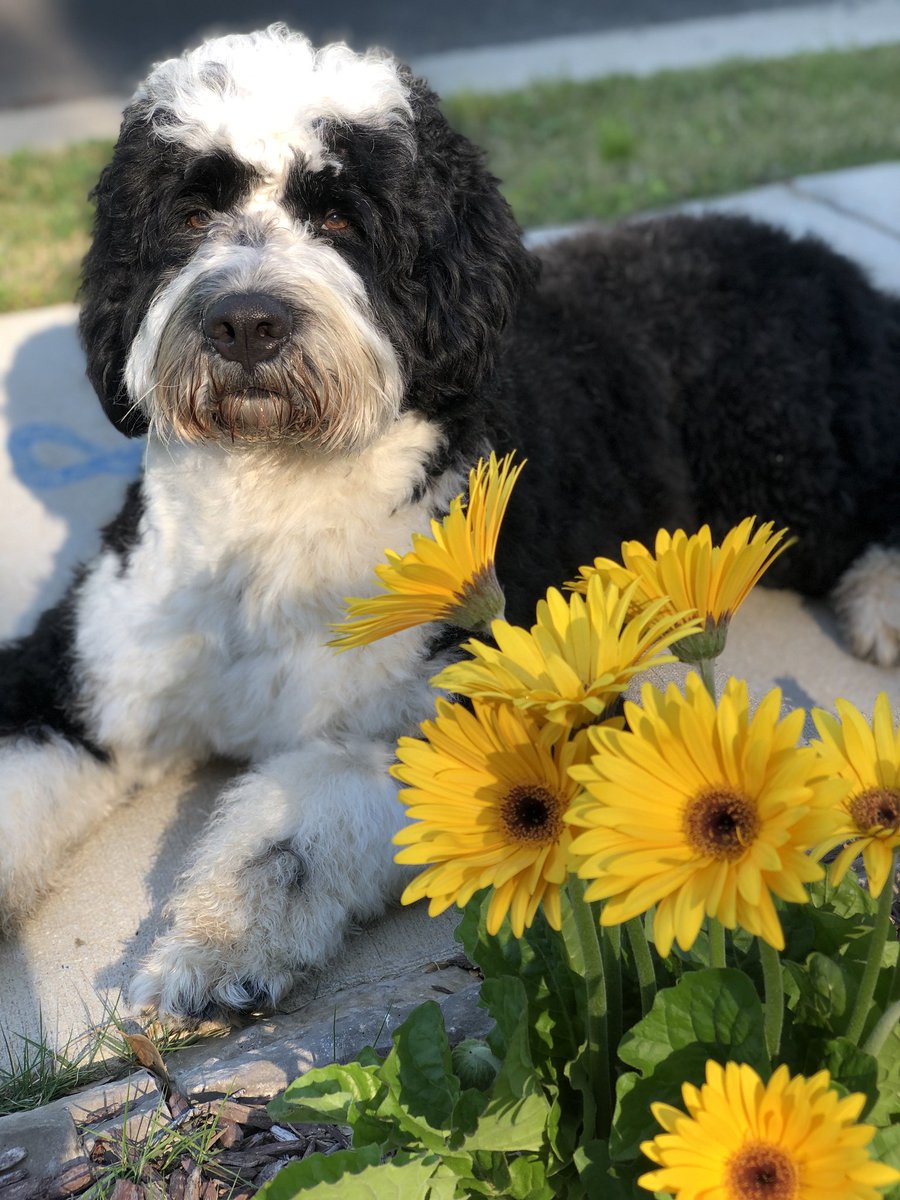 Happy May Day everyone. 🌹😍🌻I hope you have a wonderful month.