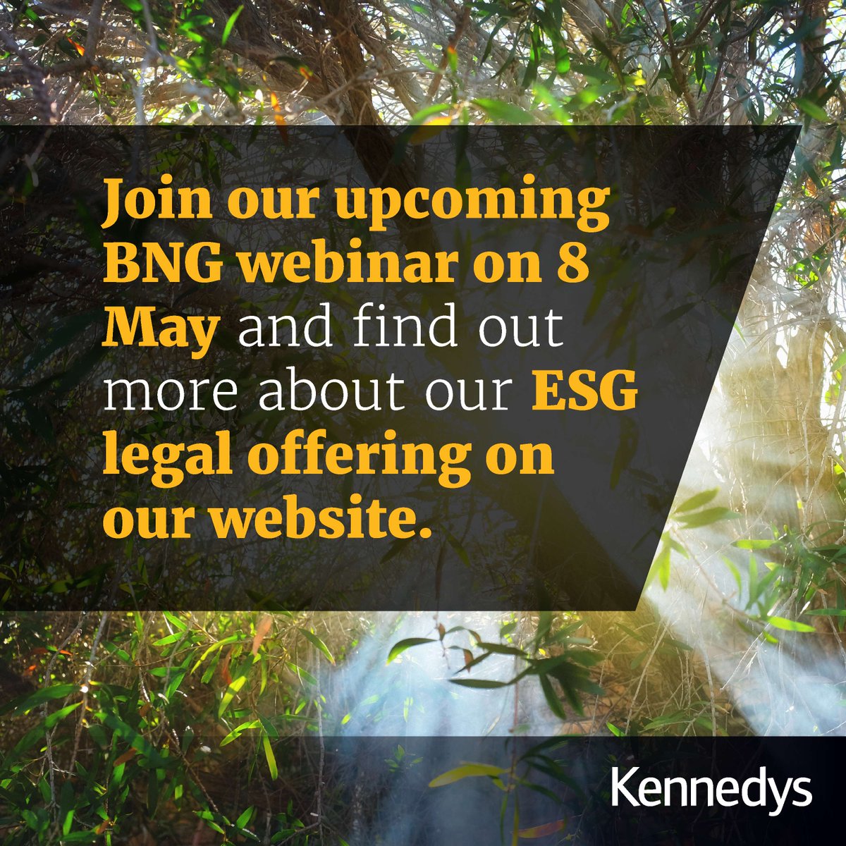 For those involved in the #realestate & development sectors, join our webinar next Wednesday 8 May with Legal Director Tim Stansfeld plus guest speakers to learn more about #biodiversitynetgain & its future impact on planning. ow.ly/SBt250RtAIz