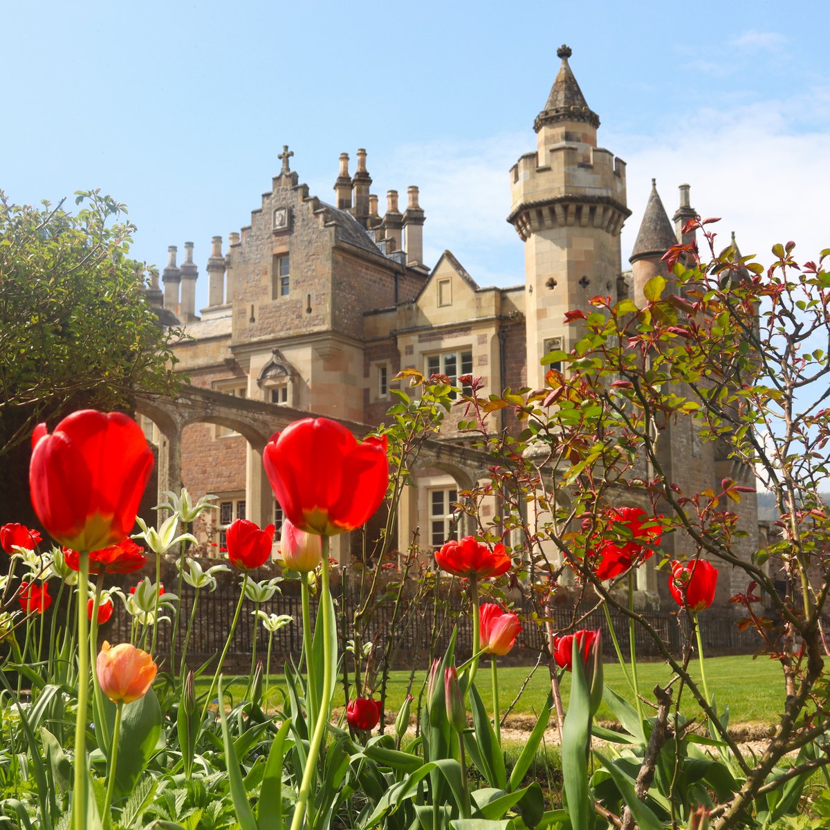 AbbotsfordScott's tweet photo. We're having a beautiful warm day in the Abbotsford gardens! 🌷 https://t.co/PQrZG3L3MB