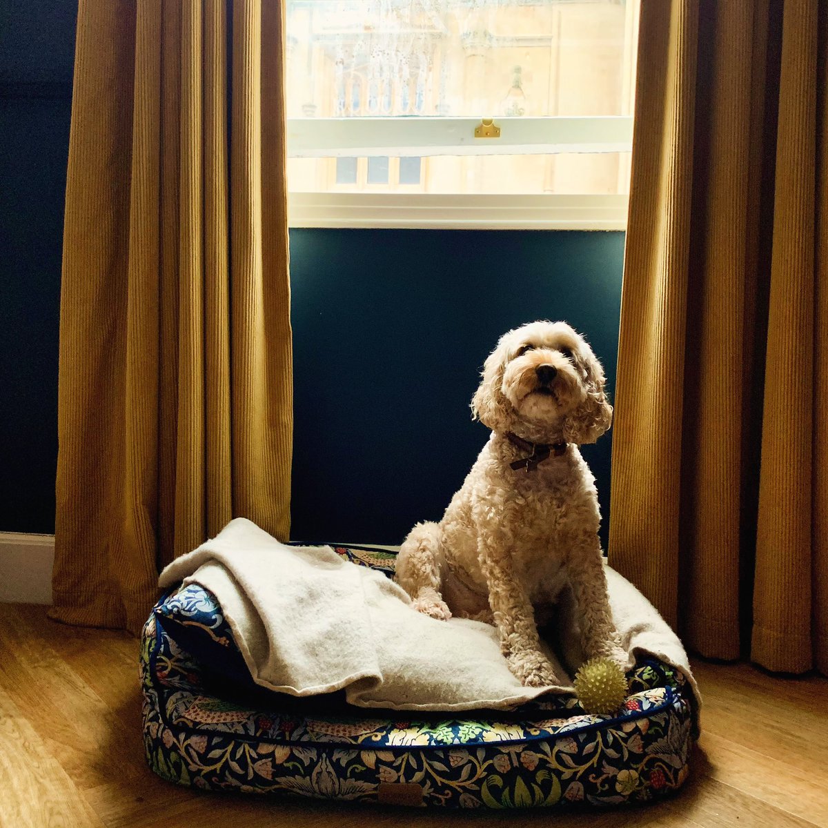 Enjoy a relaxing getaway for the upcoming May bank holiday weekend with your furry friend 🐶 

Book you stay now and unwind in a cosy room after exploring the local area ✨

#youngspubs #youngsrooms #pubwithrooms #dogfriendly #bankholidayweekend #may #visitbristol