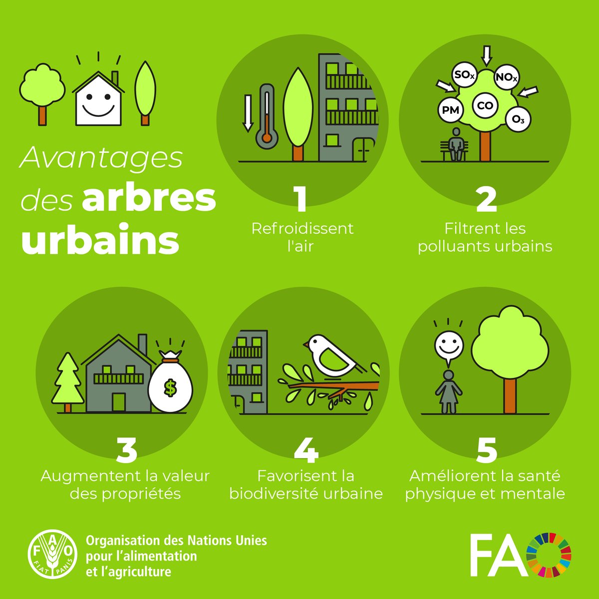 #LeSaviezVous? Les arbres urbains captent les polluants atmosphériques de l’air que nous respirons. 🌳🏘️🌳 Planter des #arbres aujourd'hui est essentiel pour les générations présentes et futures. #AirPurPourTous