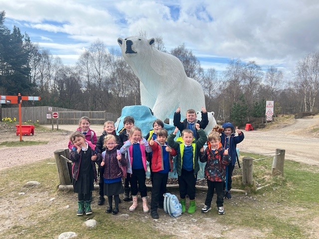 Blair Atholl Primary School and Nursery (@blairathollps) on Twitter photo P1-3 had a wonderful day at The Highland Wildlife Park learning about polar animals. <a href="/rzss/">Royal Zoological Society of Scotland</a> P1-3 had a wonderful day at The Highland Wildlife Park learning about polar animals. <a href="/rzss/">Royal Zoological Society of Scotland</a>
